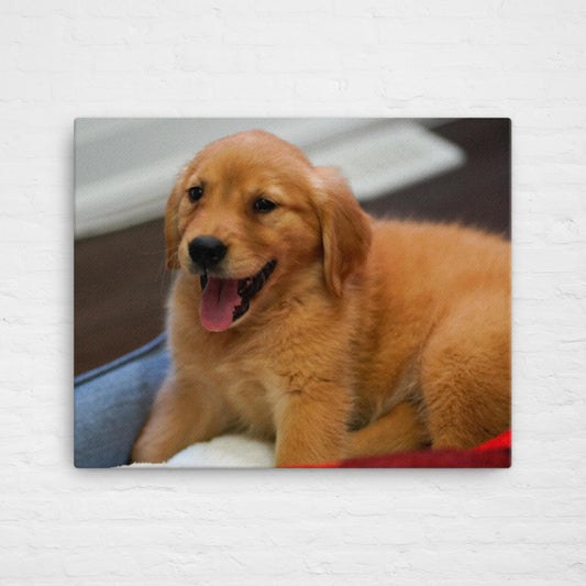Ava puppy portrait canvas